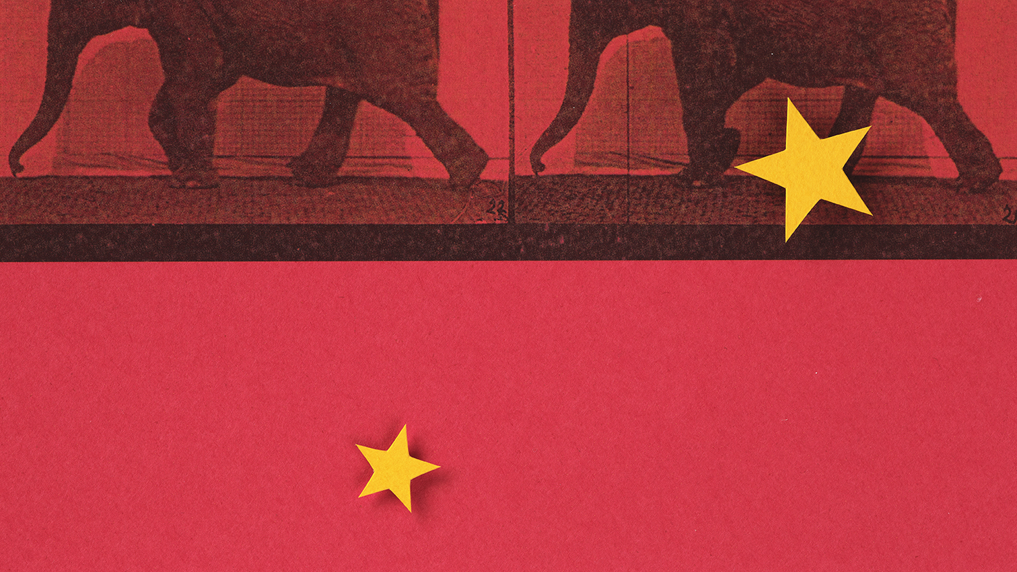 Two elephants on a red background with yellow stars over them, suggesting the Chinese flag