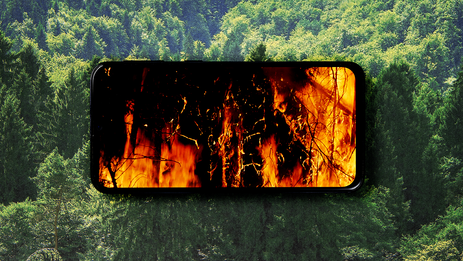 A wildfire burning on a mobile phone screen over the image of a healthy forest.